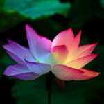 Role of Resilience