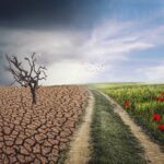 Turning Motivation into Discipline